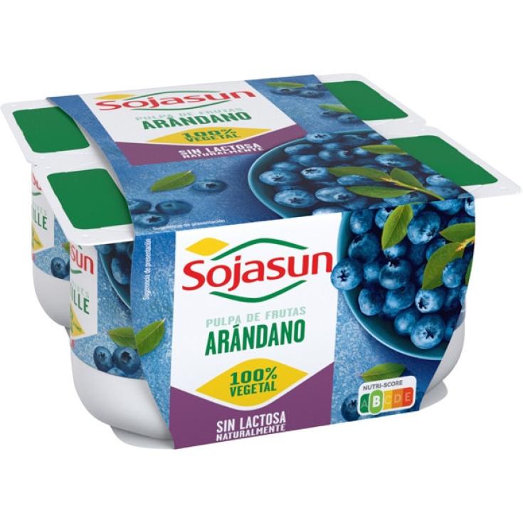 Yogur de Arándanos 4 uds 400g Yogur de Arándanos 4 uds 400g