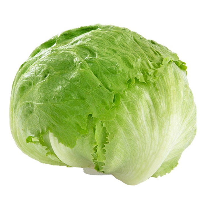 LECHUGA ICEBERG