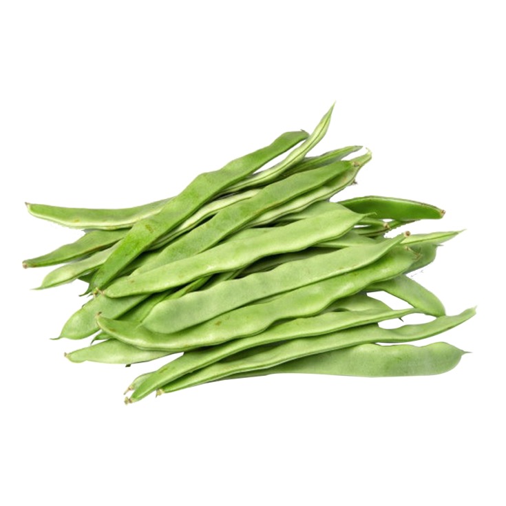 JUDIA VERDE BANDEJA 500G JUDIA VERDE BANDEJA 500G